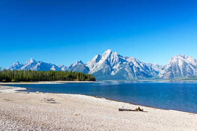 Rocky shore of jackson lake in grand teton national park