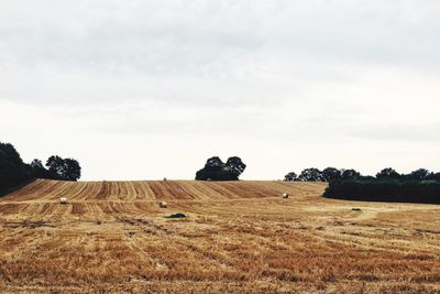Hay bales on field against sky