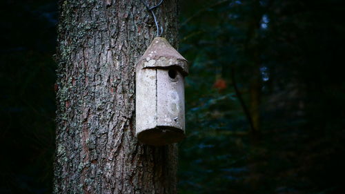 Close-up of birdhouse on tree trunk