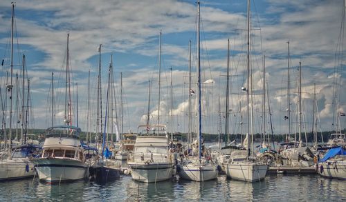 Sailboats moored on harbor against sky