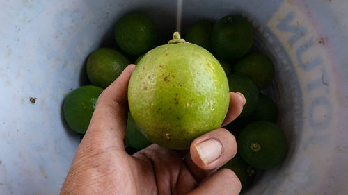 Close-up of hand holding apple