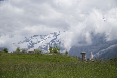 Scenic view of field against sky