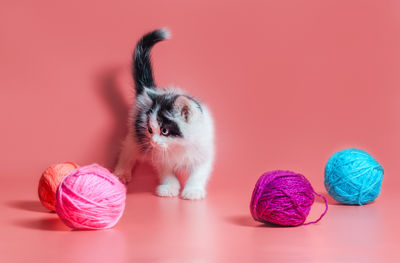 Close-up of toys against blue background