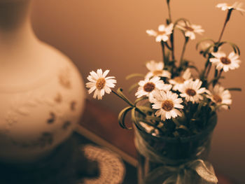 Close-up of flowers in vase