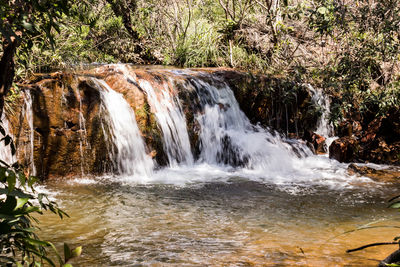 Scenic view of waterfall in forest