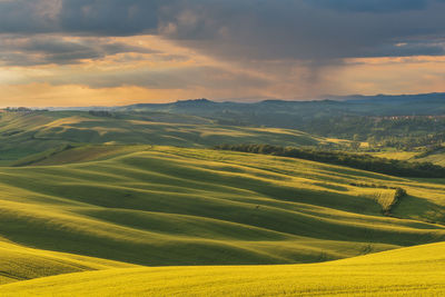 Scenic view of agricultural field against sky during sunset