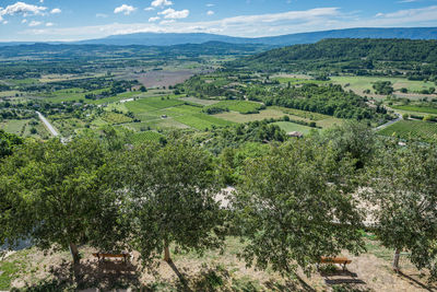 Scenic view of agricultural field against sky