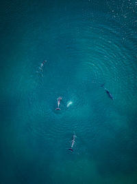 High angle view of people swimming in sea