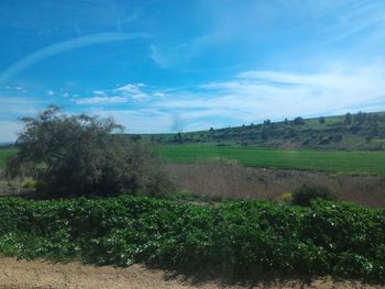 Scenic view of field against cloudy sky