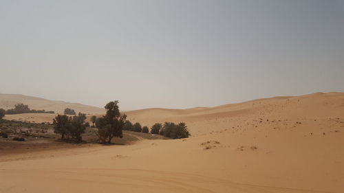 land