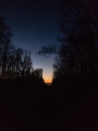 Silhouette trees against sky at night