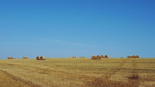Hay bales on field against sky