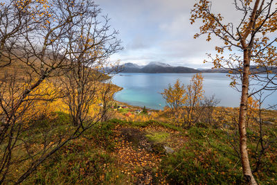 Scenic view of lake by trees against sky