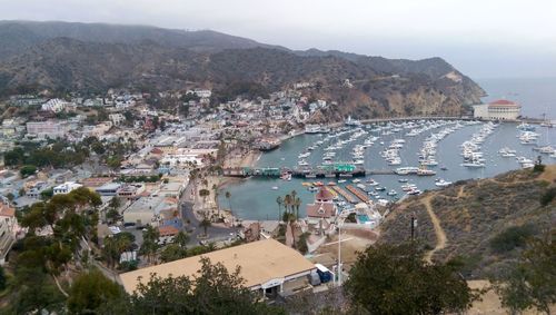 High angle view of townscape by sea