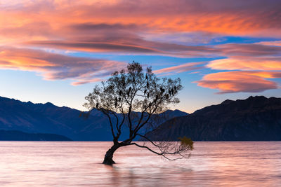 Silhouette birds perching on tree on lake by mountains against sky during sunset