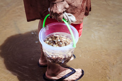 Close-up of person holding shellfish in bucket