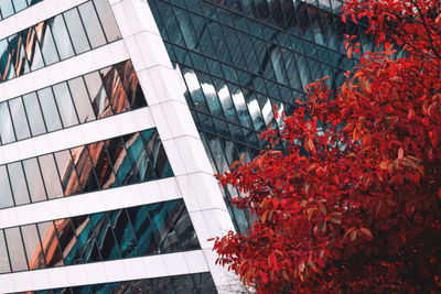 Low angle view of plants against building