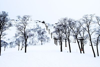 Low angle view of bare trees against clear sky