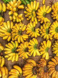 Close-up of yellow flowers for sale