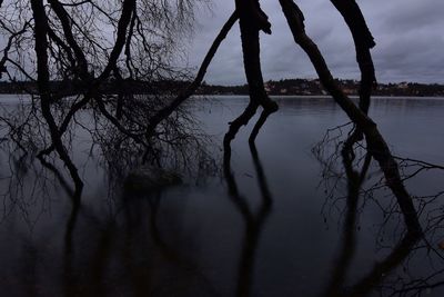 Silhouette bare tree by lake against sky