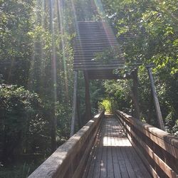 Footbridge in forest