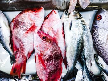 High angle view of fish for sale in market