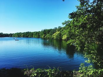 Scenic view of lake and trees against clear blue sky