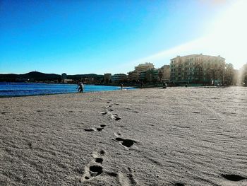 Birds on beach against clear blue sky