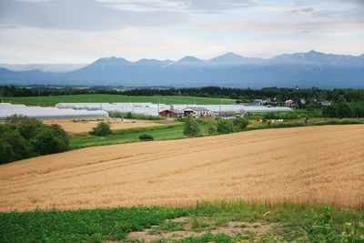 Scenic view of field against sky