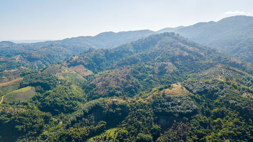 Deforestation and landuse planning in highland at nan province thailand, environmental 