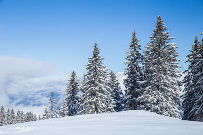 Snow covered land against sky