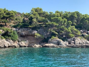 Scenic view of rocks by trees against sky