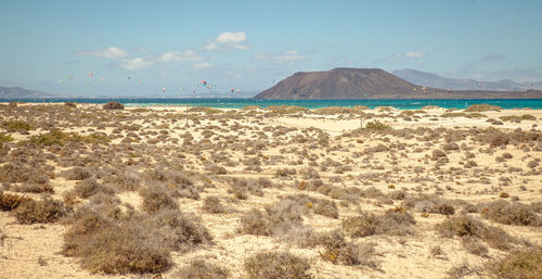 Scenic view of beach against sky