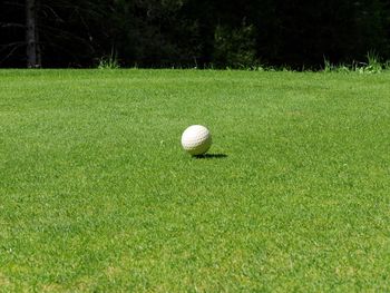 Close-up of ball on grassland