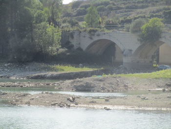 Scenic view of river by trees