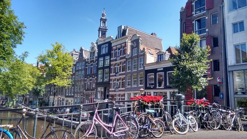 Bicycle parked in front of building