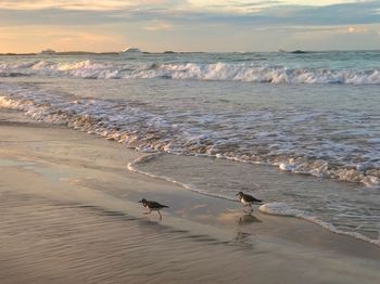 Scenic view of beach against sky during sunset