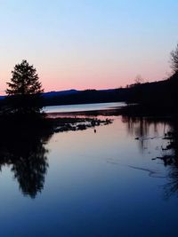 Reflection of trees in calm lake