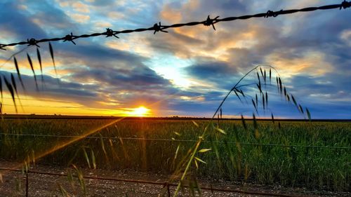 Fence on field against cloudy sky at sunset
