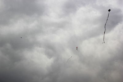 Low angle view of birds flying in sky