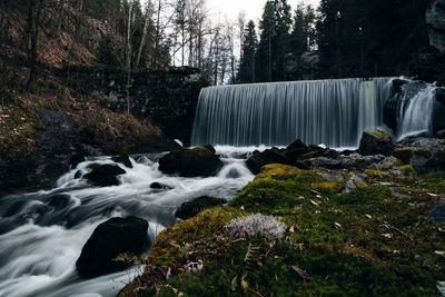 Waterfall in forest