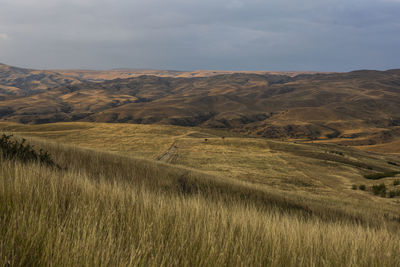 Scenic view of field against sky