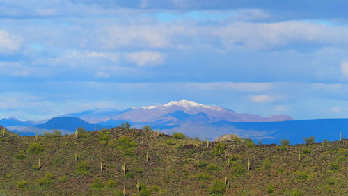 Scenic view of landscape against sky