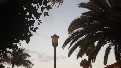 Low angle view of illuminated street light against sky