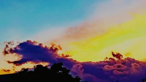 Low angle view of silhouette trees against sky