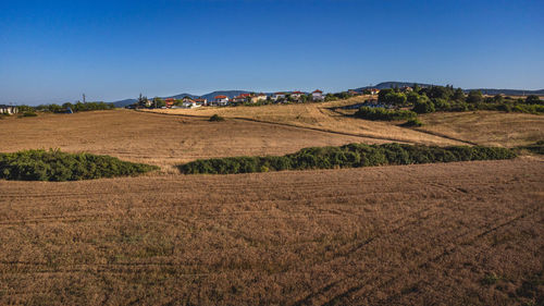 Scenic view of agricultural field against clear blue sky