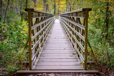 View of footbridge in forest