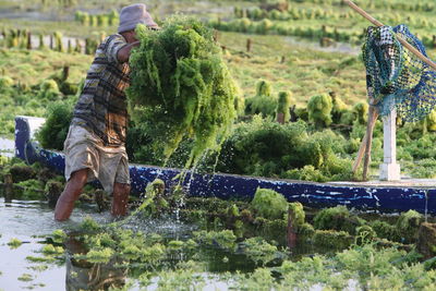 Farmer putting plants in boat