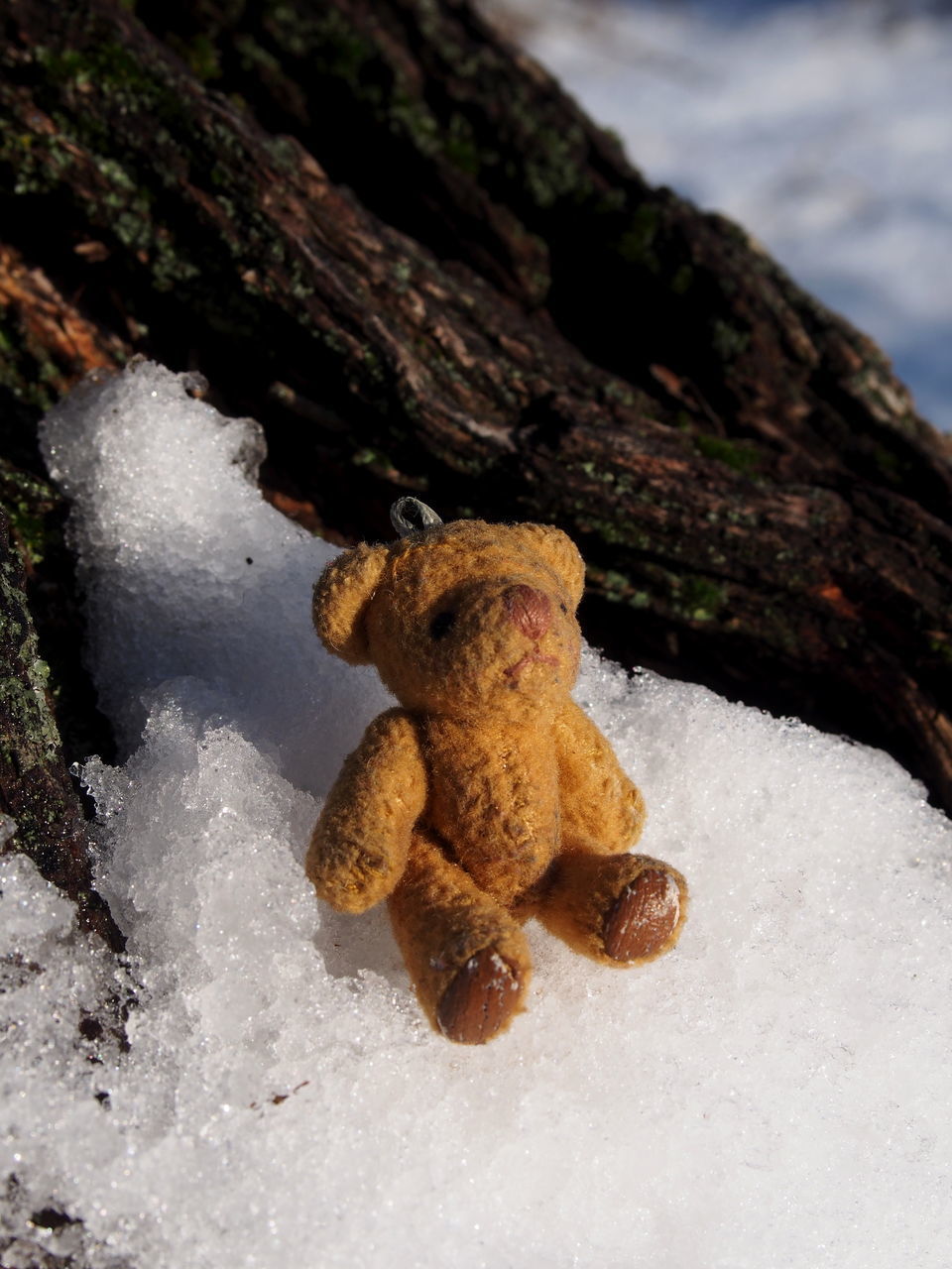 CLOSE-UP OF TOY ON ROCK