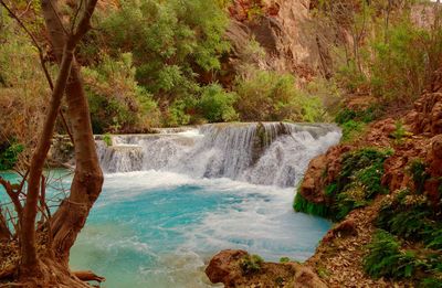 Scenic view of waterfall in forest